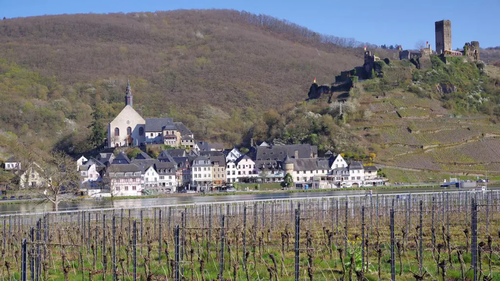 Mai 2021: Der Unterschied zwischen Wollen und Können. Hier ein Beispiel von den schönen Weinbergen an der Mosel.