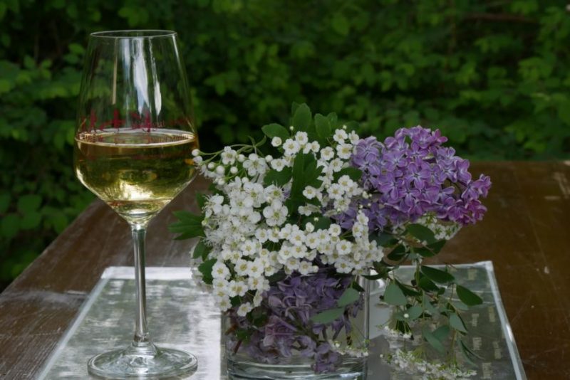 Mai 2021: Der Unterschied zwischen Können und Wollen. Dies ist der Bericht über eine Niederlage und verschiedene Höhepunkte des Mai 2021 beim Nachrichtendienst für Kunst und Kultur.