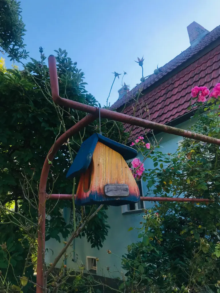 Himmelblaues Haus lädt ins Vogelhaus ein