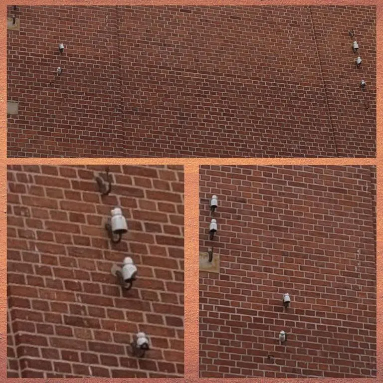 Die Porzellanisolierungen der ehemaligen Elektrik an der Fassade wecken Birgit Helmlingers Erinnerungen an ihre Kindheit.