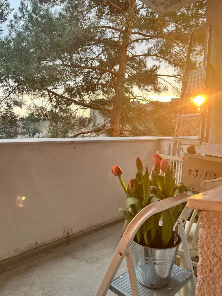 Die Abendsonne scheint auf die Tulpen des Balkons von Tochter 3 und die Stimmung ist einfach herrlich!
