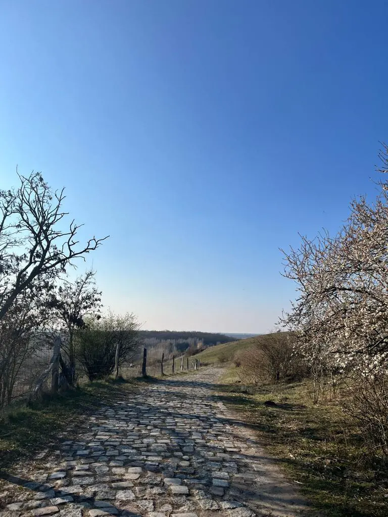 Wanderweg zum Fort Hahneberg - mitten in Berlin-Spandau hinter den Häuserschluchten Staakens